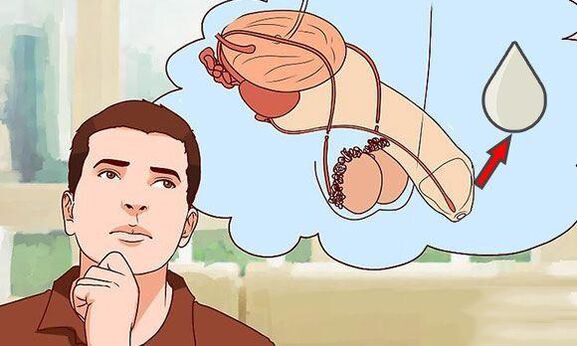 décharge chez les hommes lorsqu'il est excité